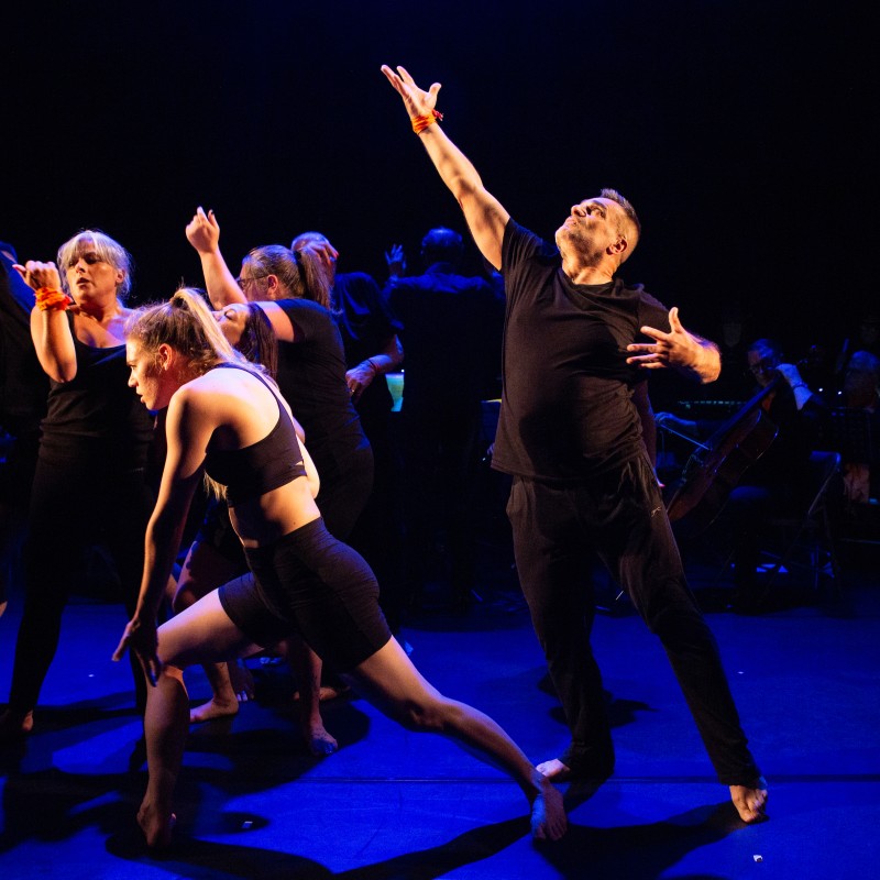 Traces Through Time Insights at the Royal Opera House