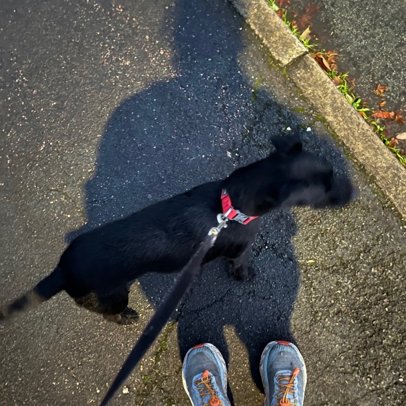 Training update: London Marathon 2024